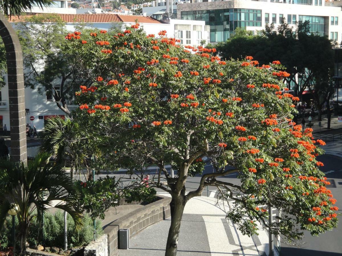 Violeta House Funchal (Madeira) Exterior foto