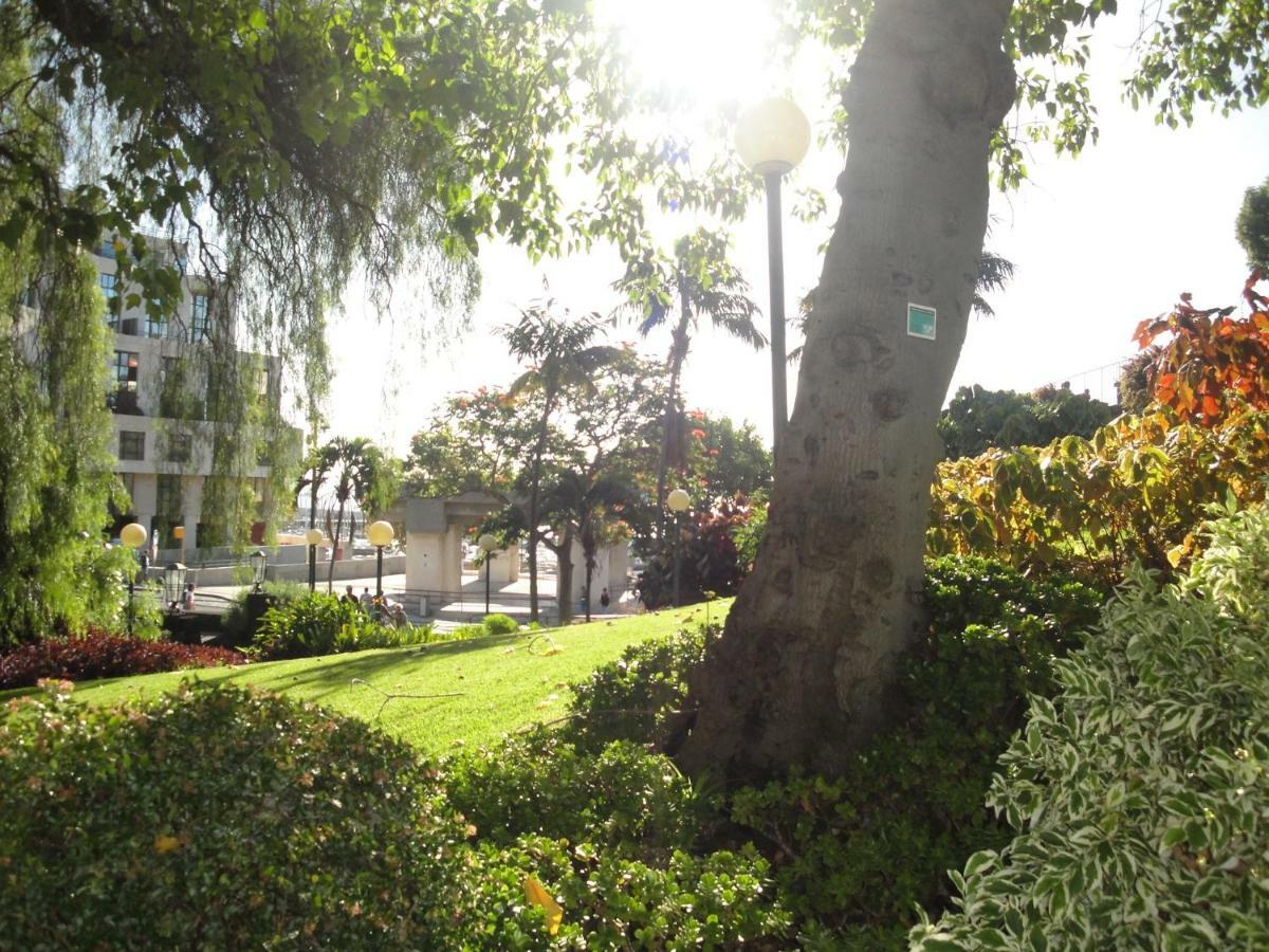 Violeta House Funchal (Madeira) Exterior foto
